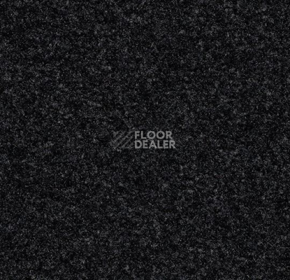 Грязезащитные покрытия Forbo Coral Brush 5730 Vulcan Black фото 1 | FLOORDEALER